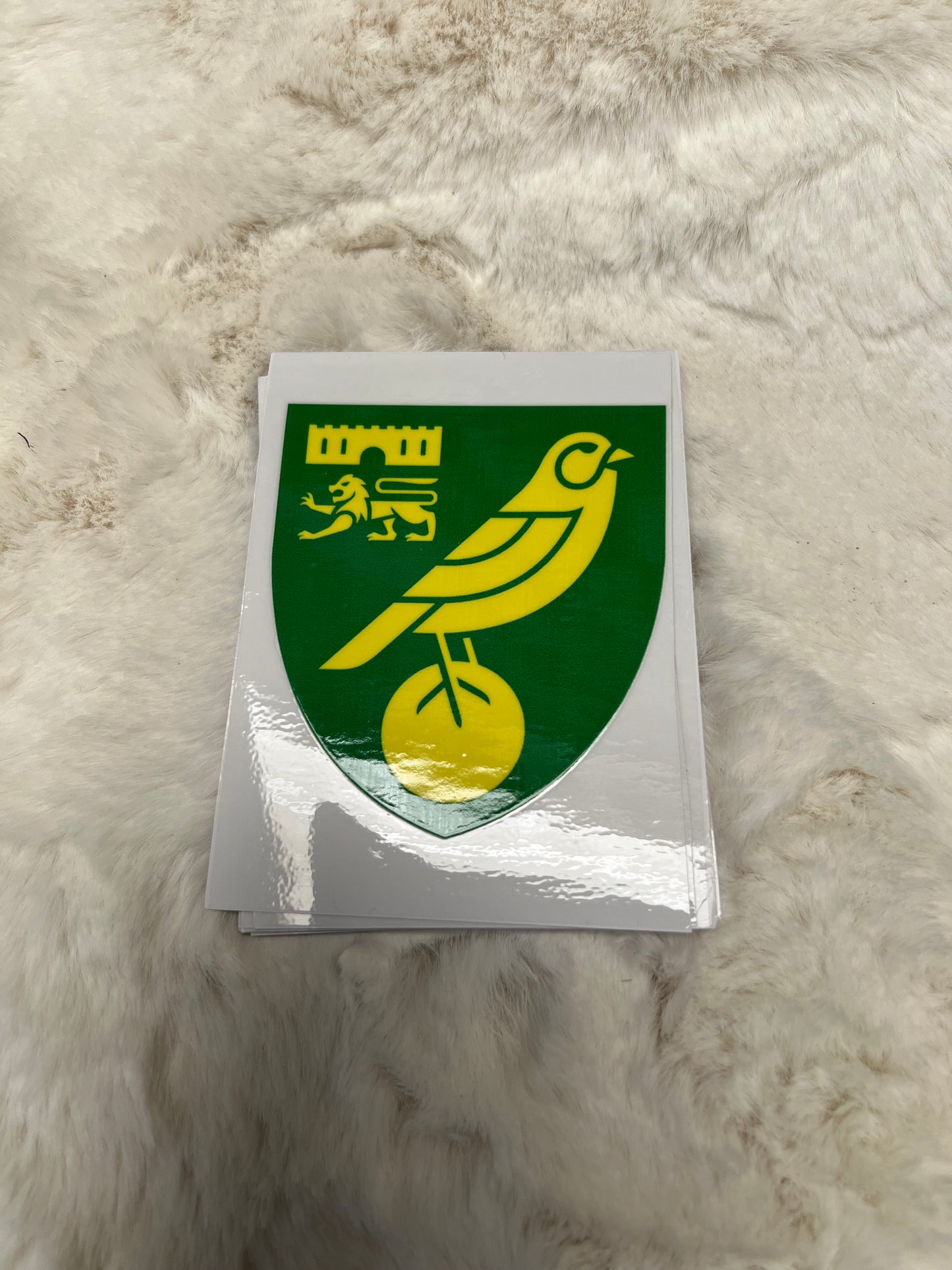 Norwich uv-dtf transfer sticker