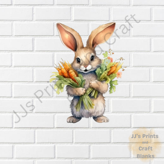 DTF transfer rabbit no 8
