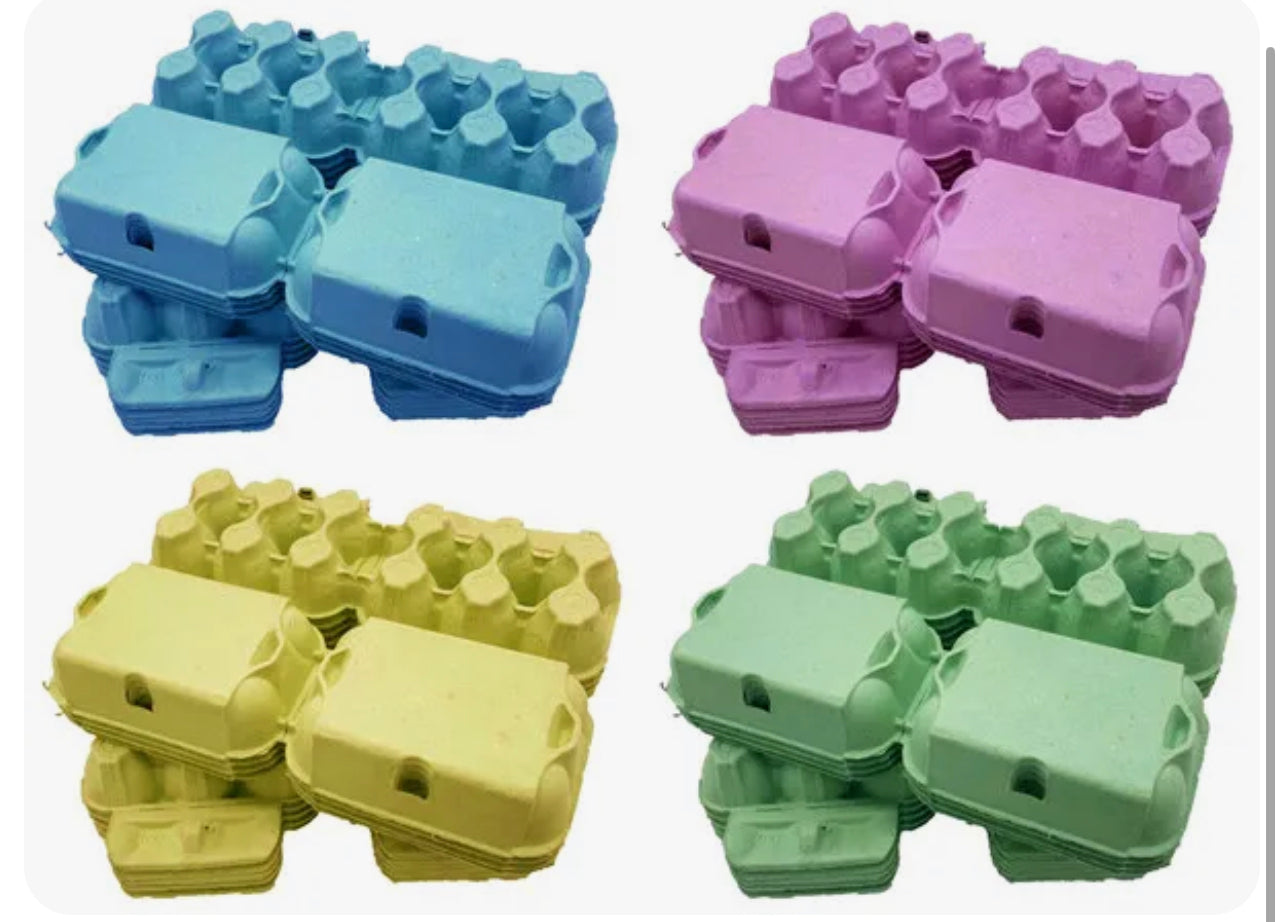 Pack of 4 Coloured egg cartons